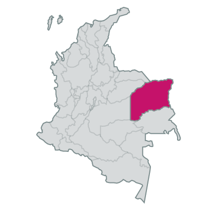 Vichada